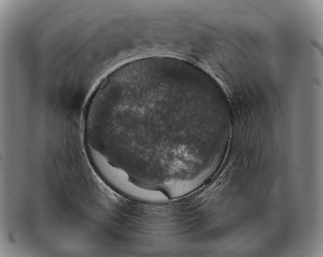 X0000096481508200802211202