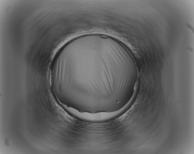 X0000096481510200802211202