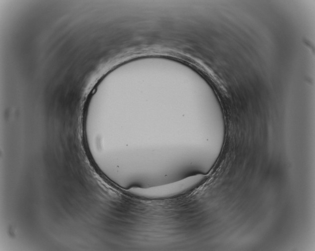 X0000096481512200802211202