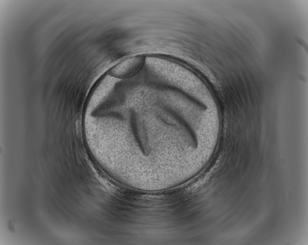 X0000096481513200802211202