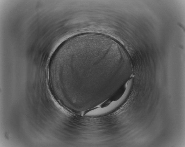 X0000096481515200802211202