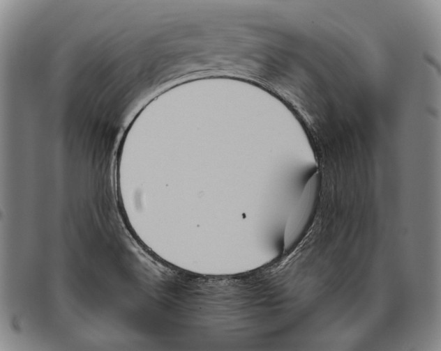 X0000096481516200802211202