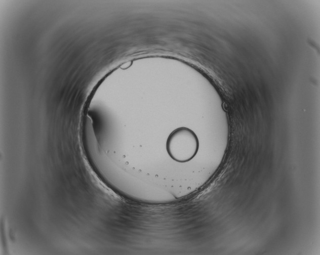 X0000096481518200802211202