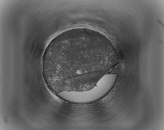 X0000096481519200802211202