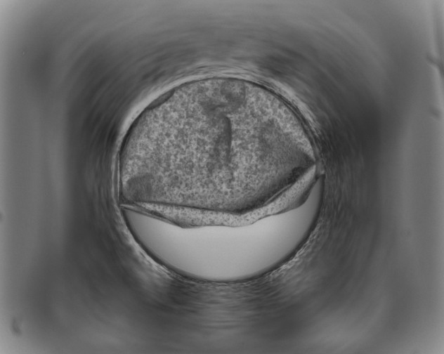 X0000096481520200802211202