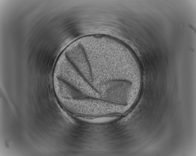 X0000096481521200802211202