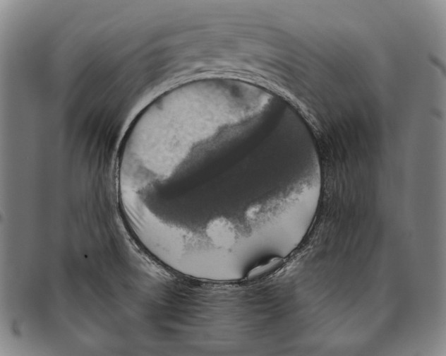 X0000096481522200802211202