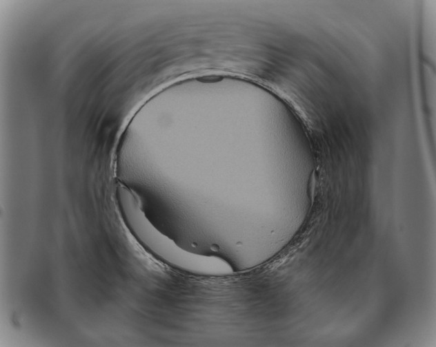 X0000096481524200802211202