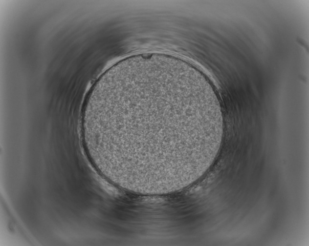 X0000096481525200802211202