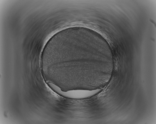 X0000096481527200802211202