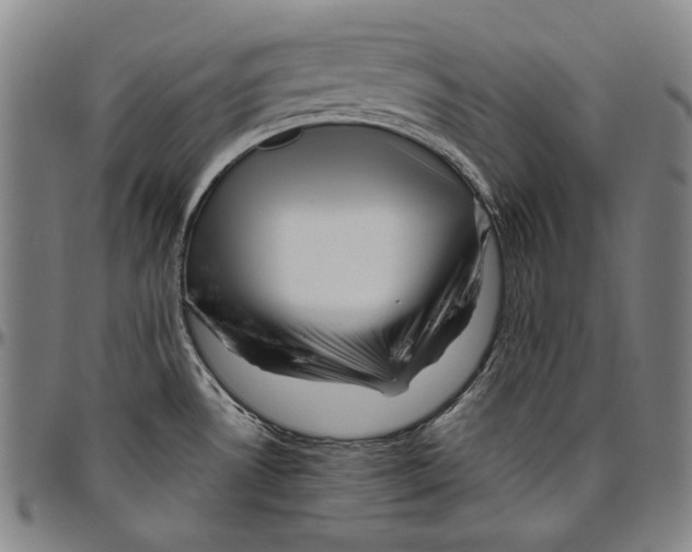 X0000096481530200802211202