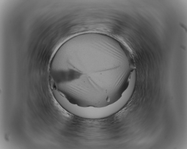 X0000096481532200802211202