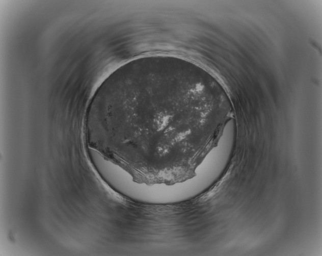 X0000096481533200802211202