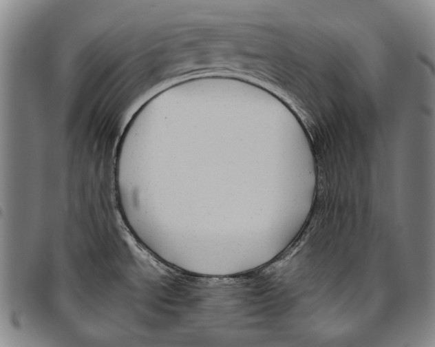 X0000096481534200802211202