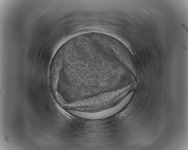 X0000096481535200802211202