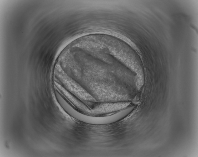 X0000096481536200802211202