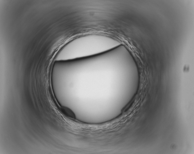X0000096490002200801241221