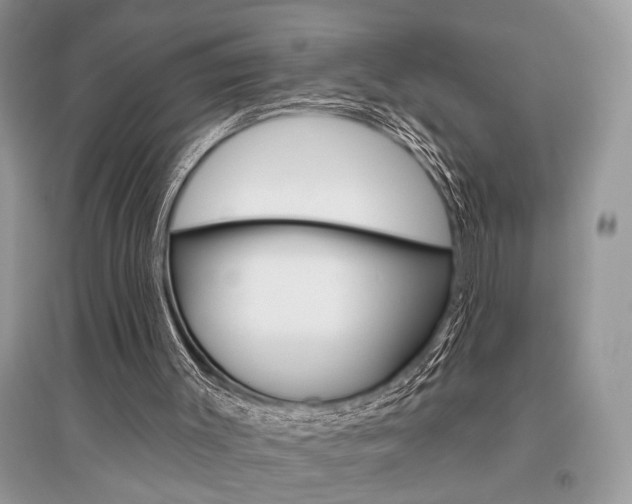 X0000096490003200801241221