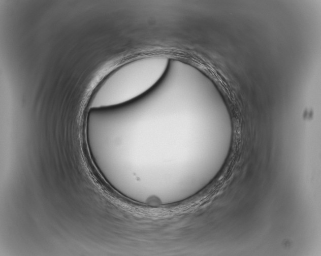 X0000096490006200801241221