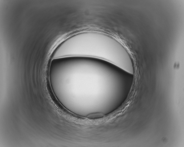 X0000096490007200801241221