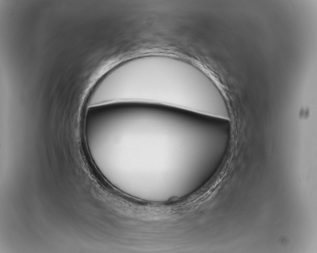 X0000096490008200801241221