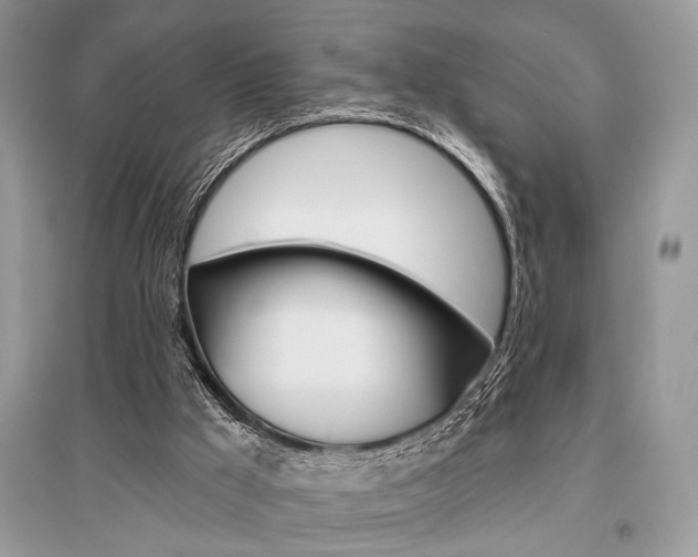 X0000096490009200801241221