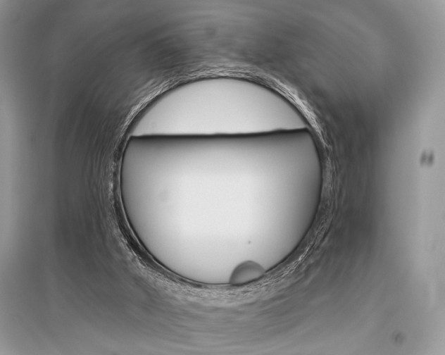 X0000096490010200801241221