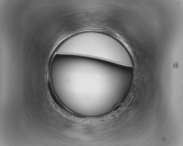 X0000096490011200801241221