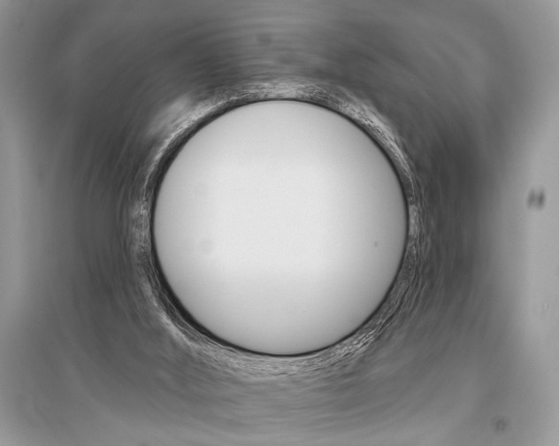 X0000096490012200801241221