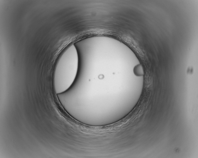 X0000096490014200801241221