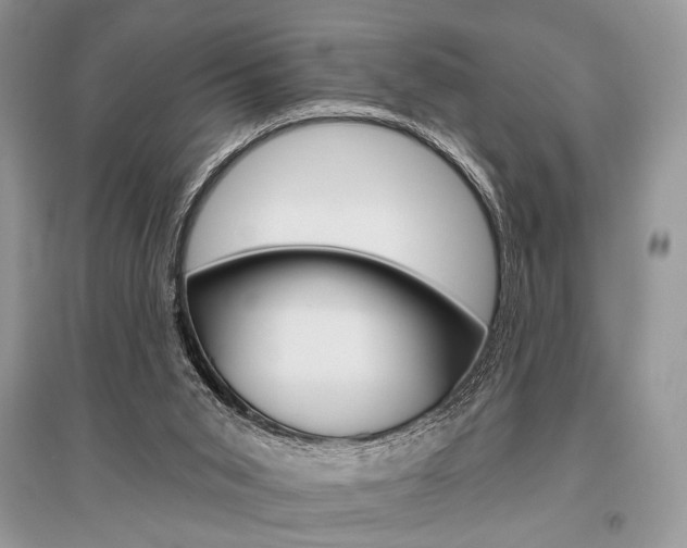 X0000096490015200801241221