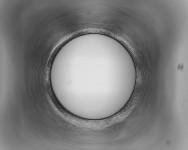 X0000096490016200801241221