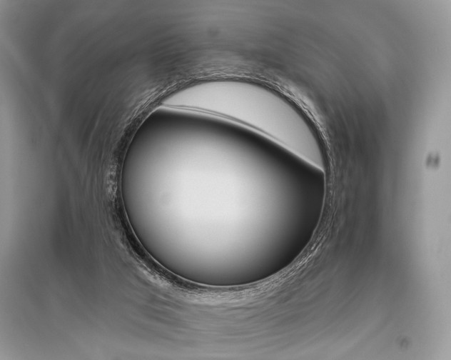 X0000096490017200801241221