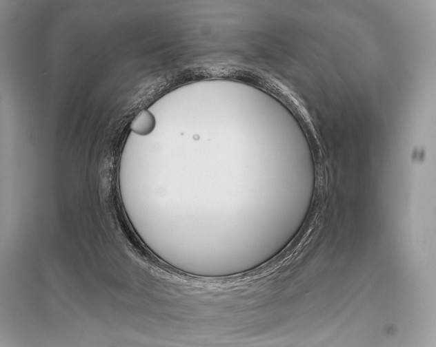 X0000096490018200801241221