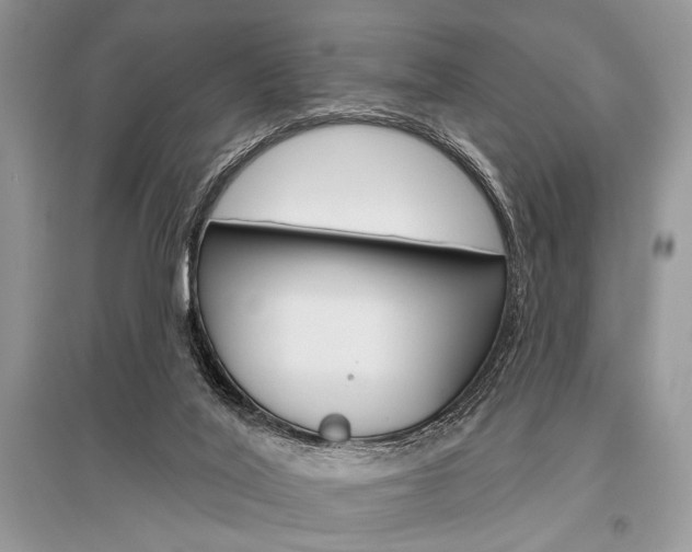 X0000096490020200801241221
