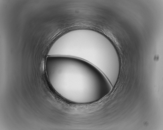X0000096490021200801241221