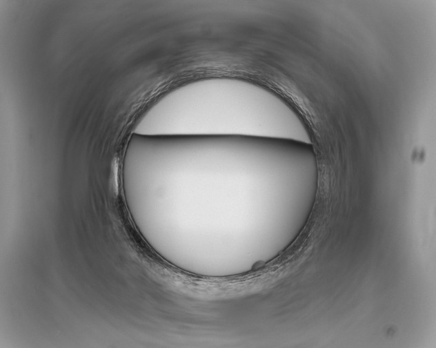 X0000096490022200801241221
