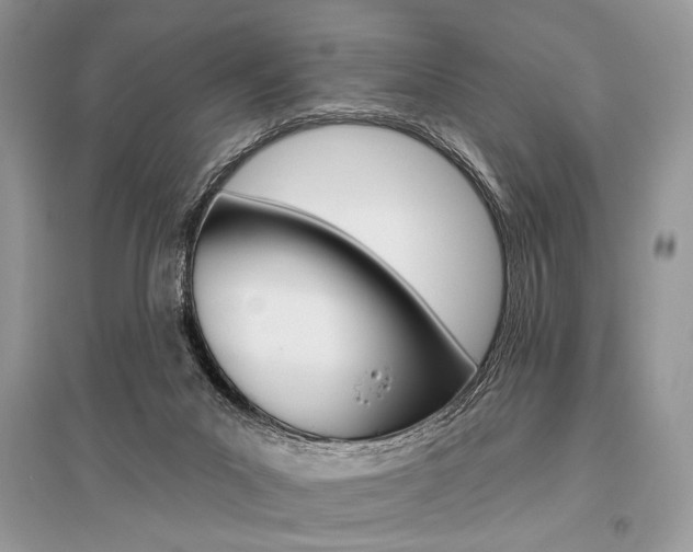 X0000096490023200801241221