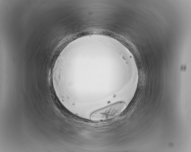 X0000096490024200801241221