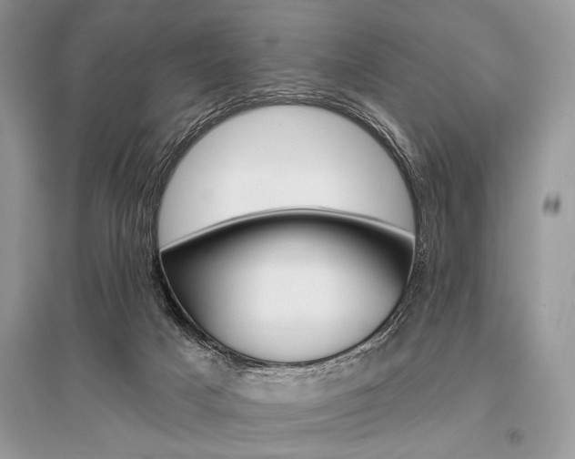 X0000096490025200801241221