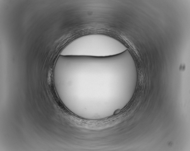X0000096490026200801241221