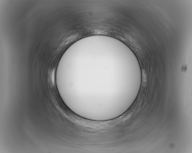 X0000096490028200801241221