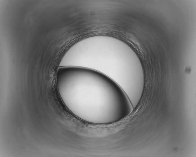 X0000096490029200801241221