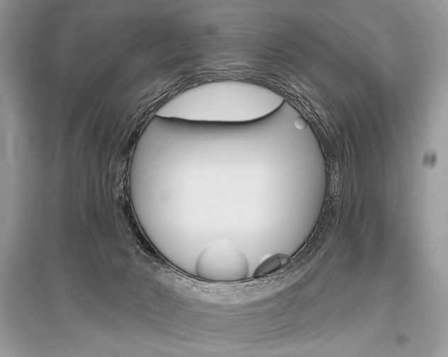 X0000096490030200801241221