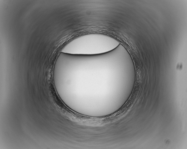 X0000096490032200801241221