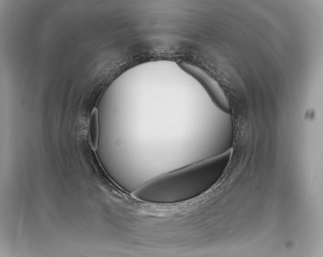 X0000096490033200801241221