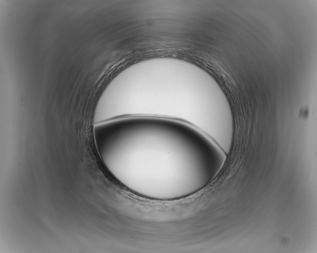 X0000096490035200801241221
