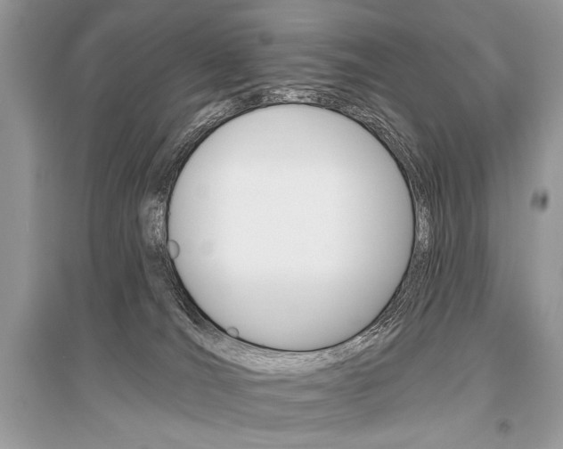 X0000096490036200801241221