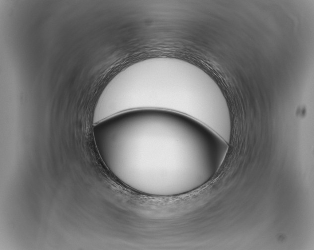 X0000096490037200801241221