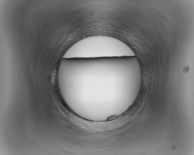 X0000096490038200801241221